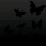 nour babasaci