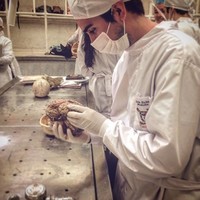 Andrés Liberona Rojas