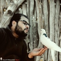 Kamal El Motaouakkel