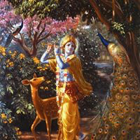 Rishank Joshi