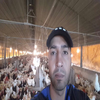 Eng. Akram El Kadi