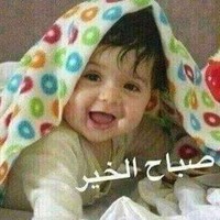 Nabil Mohamef