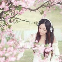 柳艳芳
