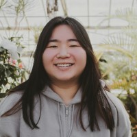 Nancy Pan