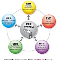 Hiring ERP  Professionals