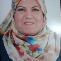 mervat anwar