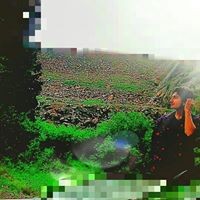 Cisco Medrano