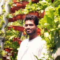 Hari Krishna Sripathi