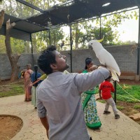 Saravanan S K