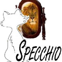 Specchio SA
