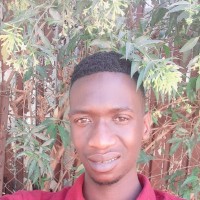 Pheme Amos