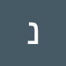 נטע שלין