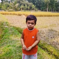 Akib R