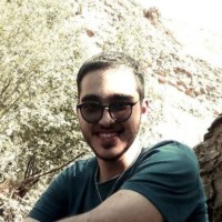 Seyed Amirsaleh Mousavi
