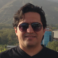 Pirooz P.Soltani