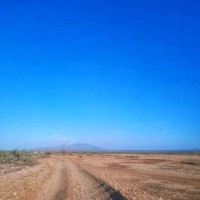 Ever  tomas Suárez Garcia