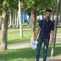 مستر بين