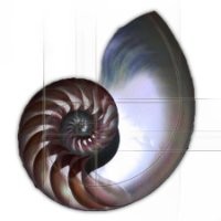 idFX Studio