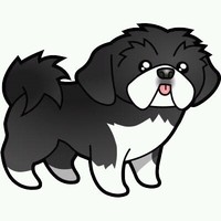 Mundo Shihtzu