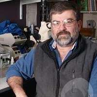 Robert Walsh