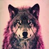 Quantum Wolf Gaming