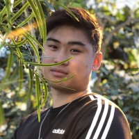 Dong Nguyen