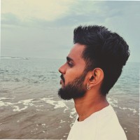 Badri Narayanan S
