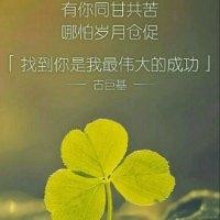 王春光
