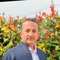 Ali Ali