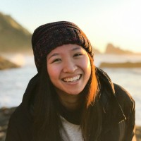 Hoang Lan Vu