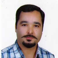 mostafa sheikhi