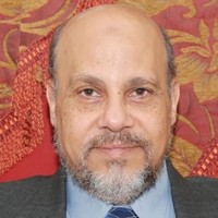 Mamdouh El-Ridi