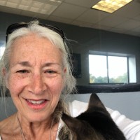 Cathy Hoffman