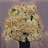 محمدحسین اکبری
