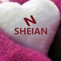 N. Sheian