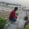 Amin Sarker