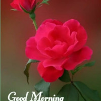 Shunil ahir Shunil ahir