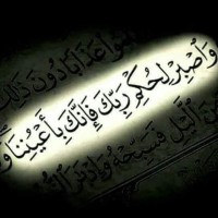نفيسة محمد الحسن الفكي