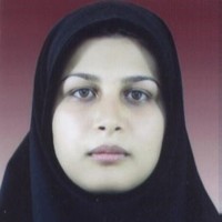 Samane Najafi