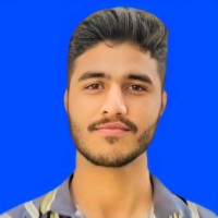 Hamza Hussain