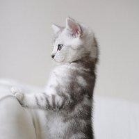 于保瑞