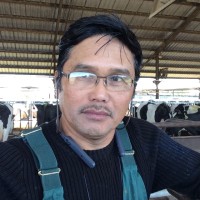 Josaphat Cilocilo