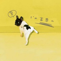 那洪超