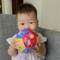 Yufei Zhu