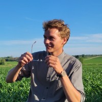 Nico Timmerman