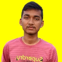 Nayan Majumder