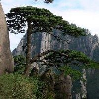 黄仕海