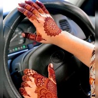 Zaib Un Nisa Nisa