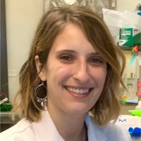 Alexandra D'Amico, Phd