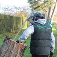 Nick Danson, Danson Tree Care